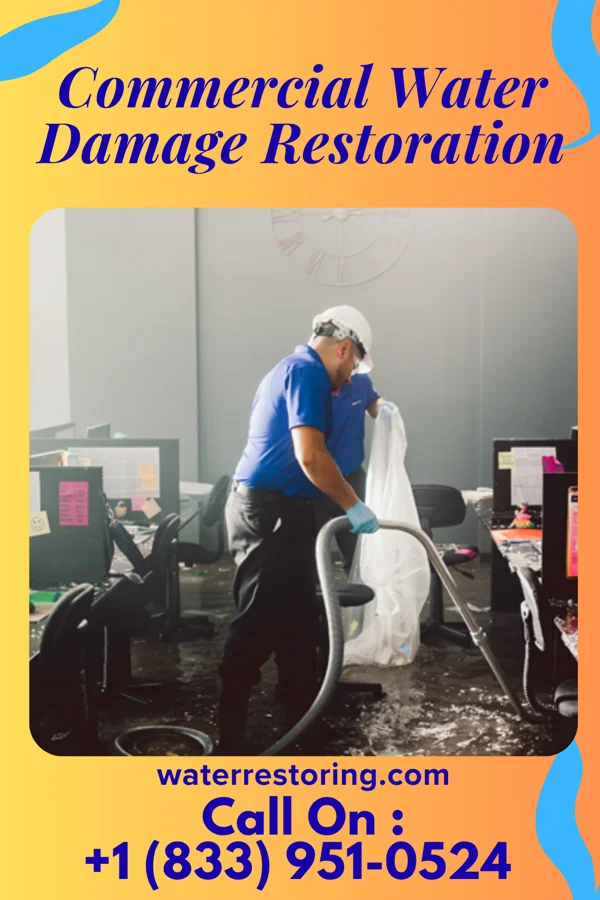 Commercial Water Damage Restoration in Bellair-Meadowbrook Terrace, FL